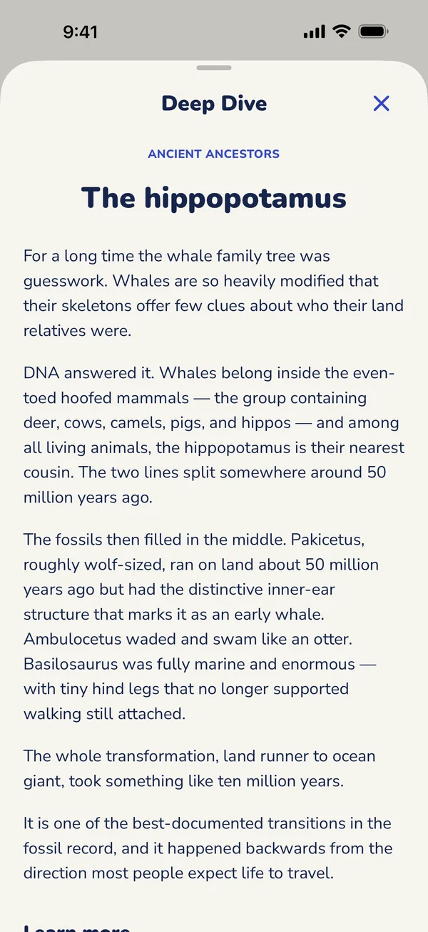 A Deep Dive article in the app, on how whales are related to the hippopotamus.